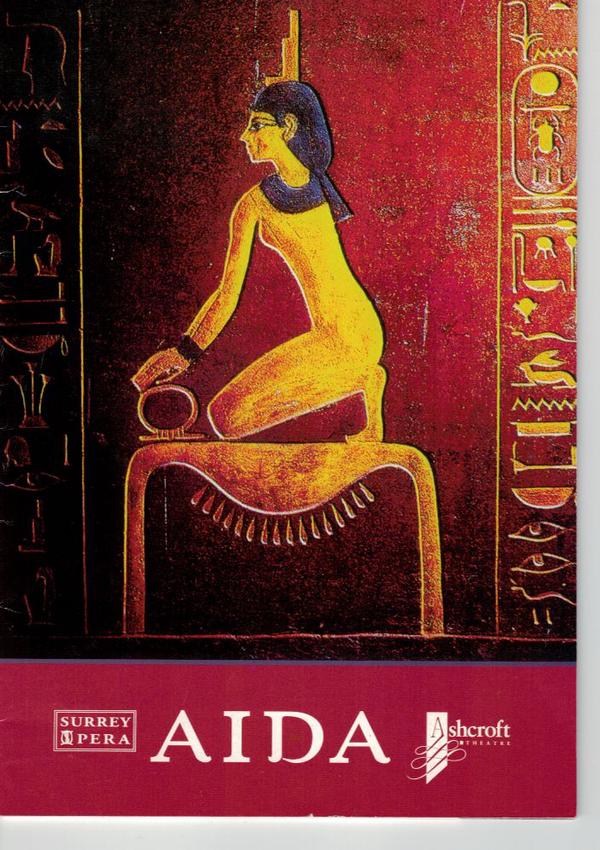 aida_flyer.jpg