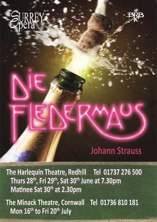 Die Fledermaus